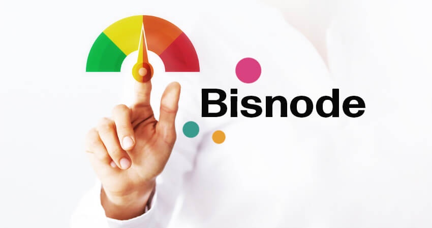Bisnode – ett kreditupplysningsföretag