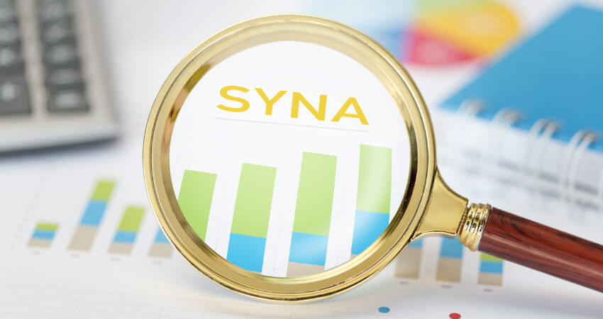Syna AB – ett kreditupplysningsföretag