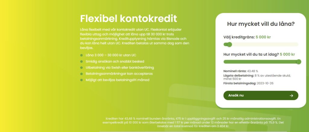 Flexkontot recension